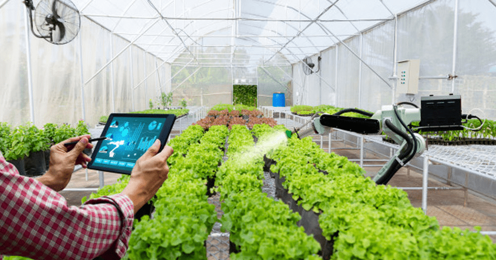 HOẠT ĐỘNG KINH TẾ